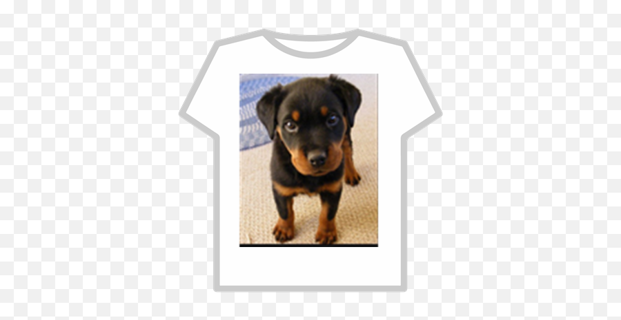 Puppy Dog Pals - Roblox Buzz Lightyear Hoodie T Shirt Roblox Png,Puppy Dog Pals Png