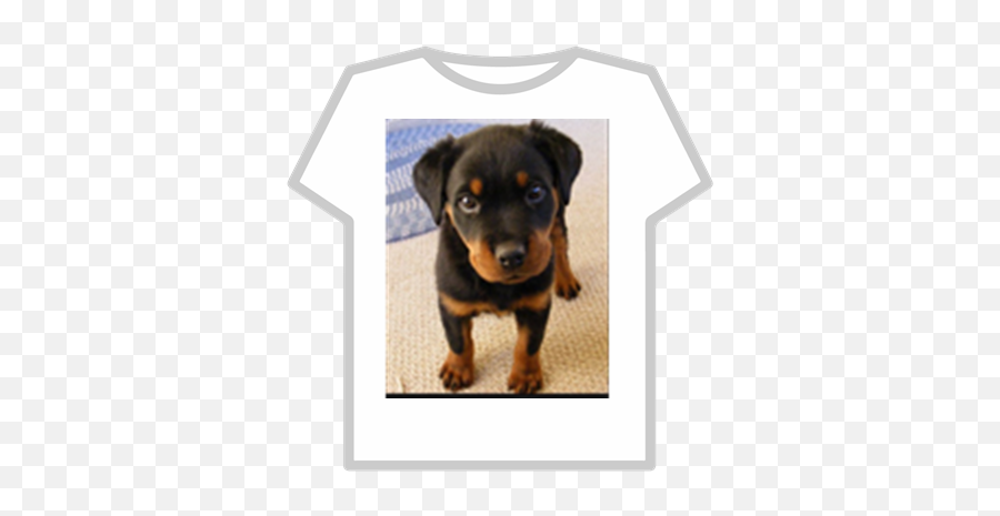 Puppy Dog Pals Roblox Buzz Lightyear Hoodie T Shirt Roblox Png Free Transparent Png Images Pngaaa Com - roblox t shirt dog