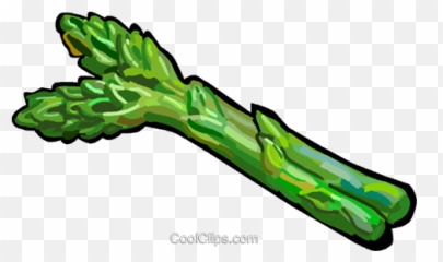 Asparagus Royalty Free Vector Clip Art - Asparagus Clip Art Png,Asparagus Png