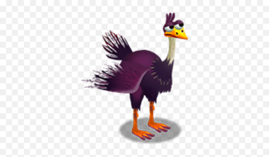 Ostrich Zoocraft Wiki Fandom - Ostrich Png,Ostrich Png