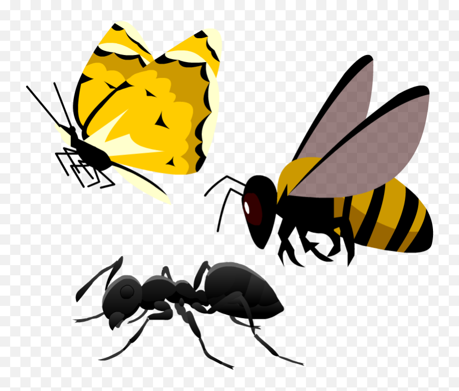 Honey Bee Png - Honeybee Png Download Honeybee 539573 Honeybee,Honey Bee Png