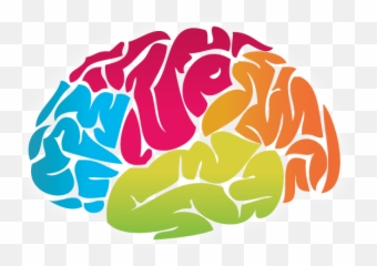 Cartoon Brain Png 3 Image - Clipart