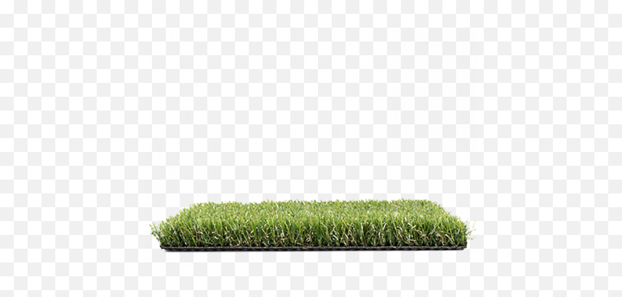 Download Hedge Png Image With No - Lawn,Hedge Png