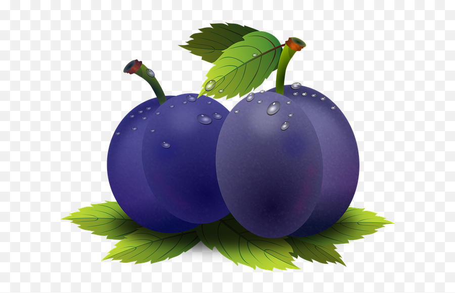 Plum Fruit Fruits Png