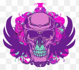 Wings - Girly png