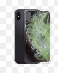 Translucent - Cooky png