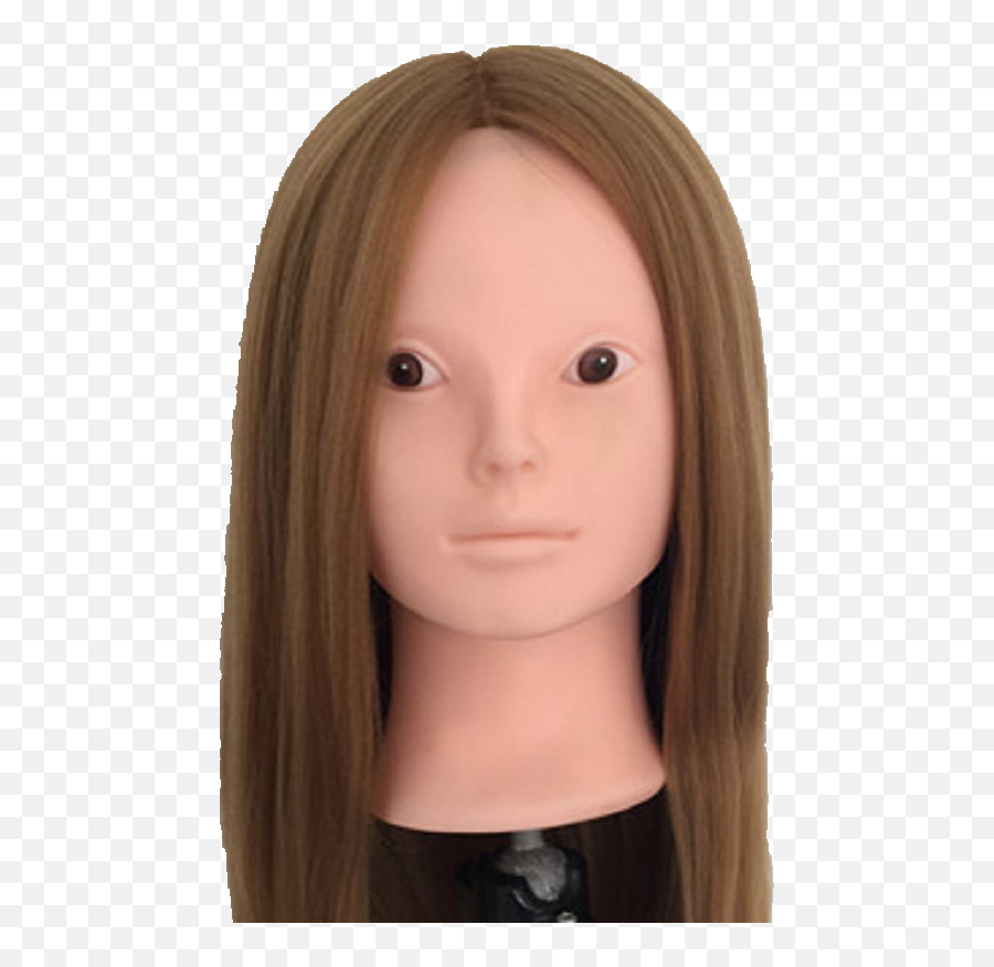 Hair Mannequin Wig Holder Manikin Head - Hair Design Png,Mannequin Head Png