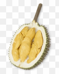 Ourdurain Osoam Farm Png Durian