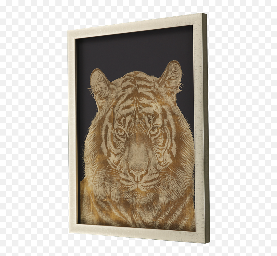Paragon - Tiger Portrait Poster Frame Png,Bengal Tiger Icon