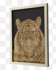 Paragon - Tiger Portrait Poster Frame png