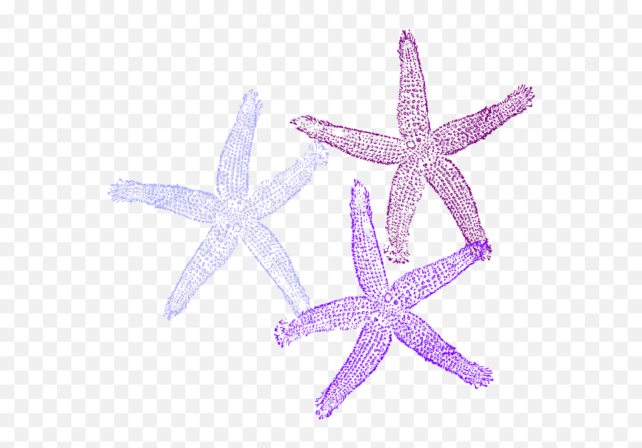 Clipart Corals Transparent Background - Purple Starfish Clipart Png,Starfish Transparent