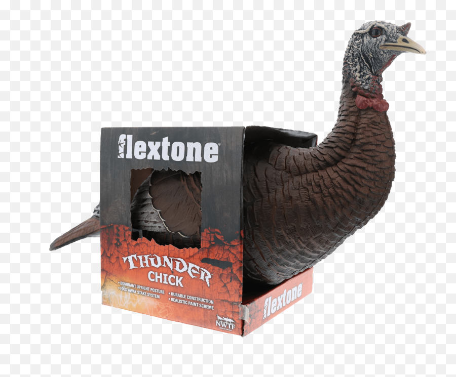 Flextone Thunder Chick Upright Hunting Decoy Png Icon