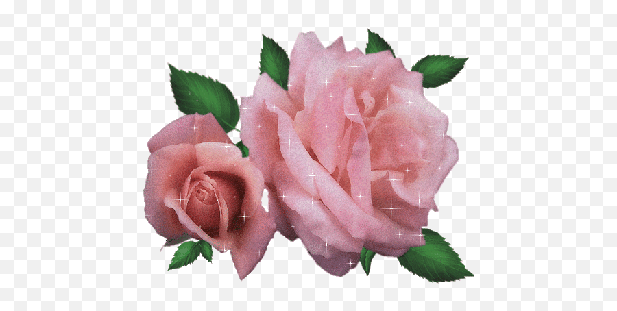 Sparkle Rose Gif - Gif Animados De Rosas Png,Sparkle Gif Png