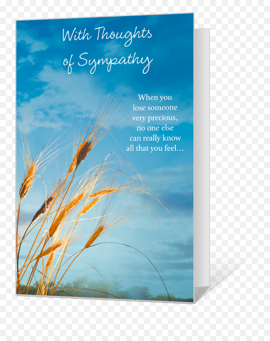Thoughts Of Sympathy Printable American Greetings - Grassland Png,Sympathy Icon