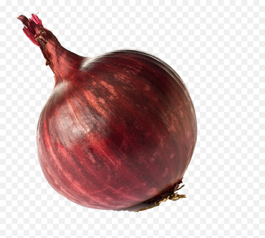 Onion Png Free Download