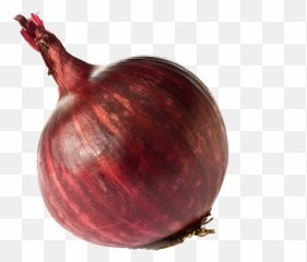 Onion Png Free Download