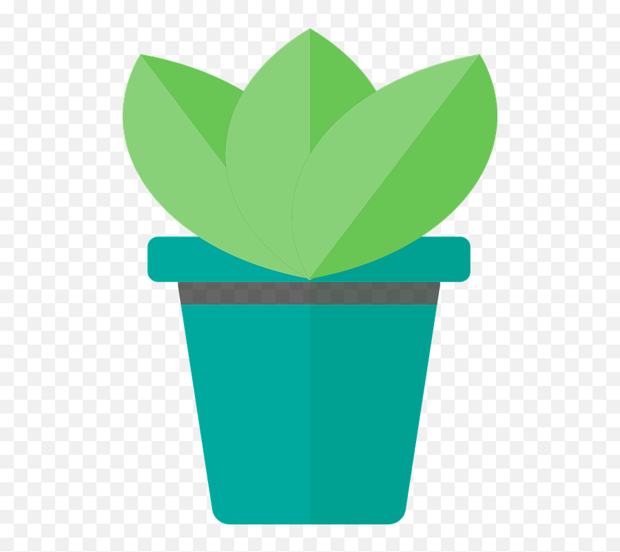 Cactus Succulents Plant - Free Vector Graphic On Pixabay Vertical Png,Succulent Icon