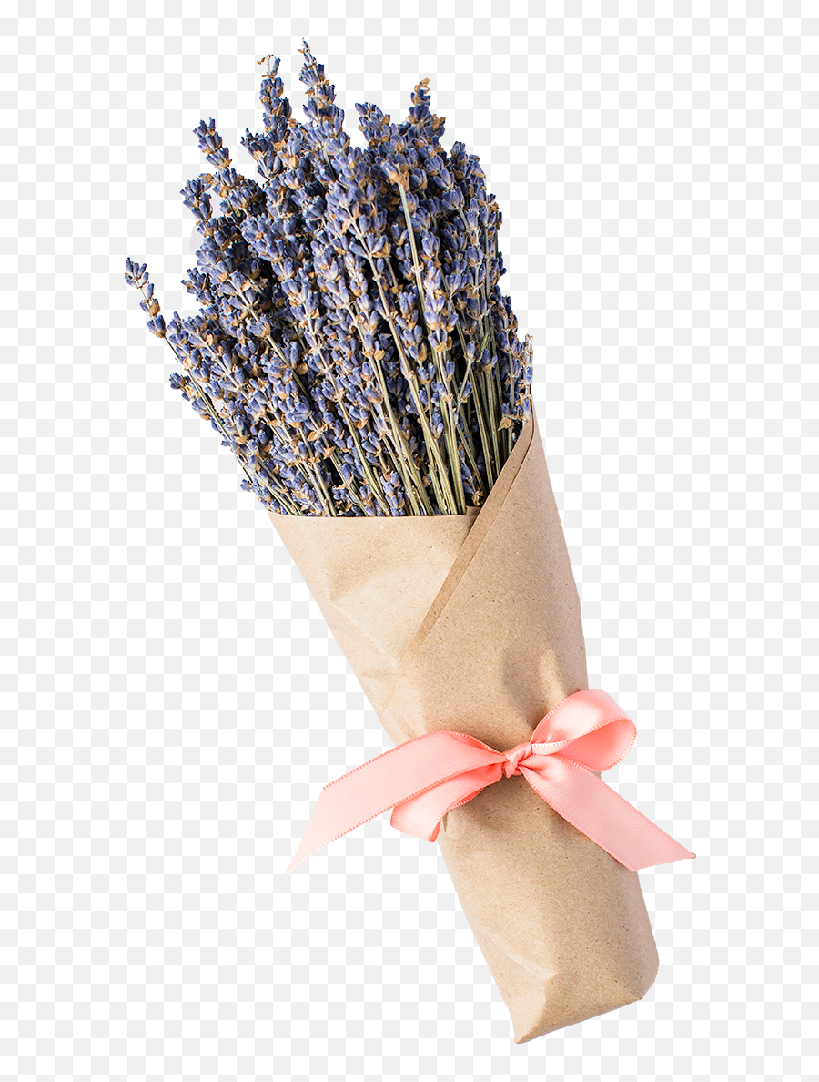 Araceli Farms Lavender Bundle U2014 Park Winters Marketplace Png Graystripe Icon