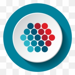 Neuroleadership For The Public Sector - Include The Neuroscience Of Smarter Teams png