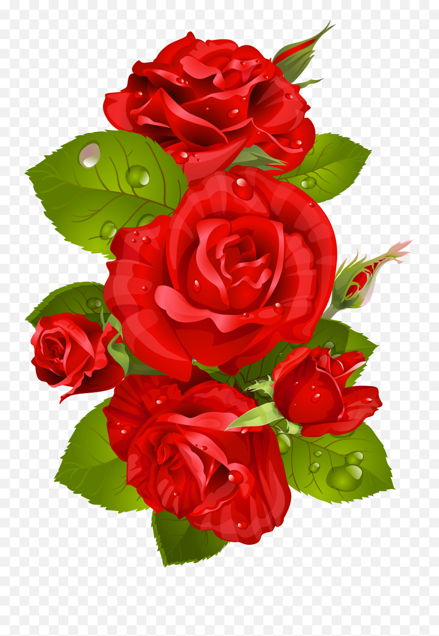 Red Rose Clipart Beauty And The Beast - Roja Flowers Photos Hd Download Png,Beauty And The Beast Rose Png