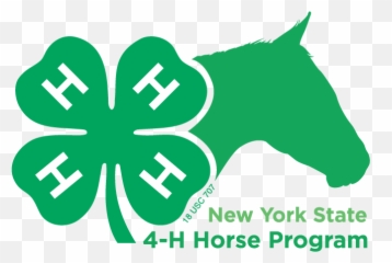 Logos Graphics New York State 4 - Nys H Horse Program png