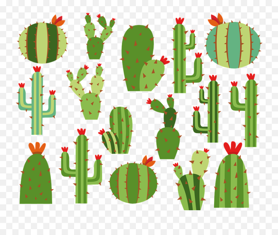 Cactus Summer Nature - Free Vector Graphic On Pixabay Png,Nopal Png