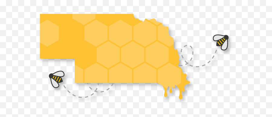 Full Size Png Image - Pollinator,Honeycomb Png