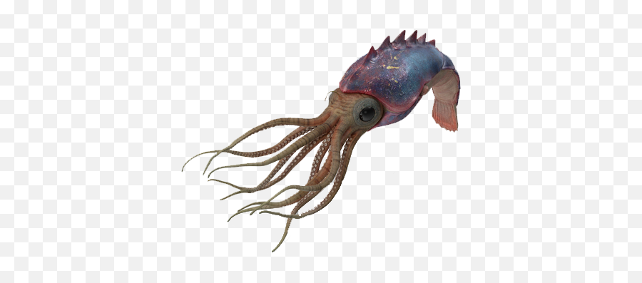 Octopus Png Image File - Octopus,Octopus Png