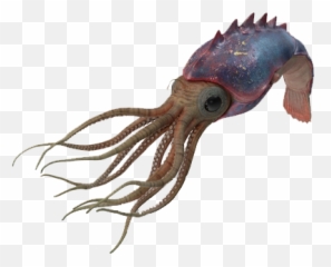 Octopus Png Image File - Octopus,Octopus Png