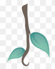 Liana Leafs Plant - Free Vector Graphic On Pixabay Lianas Clipart Png,Leafs Png