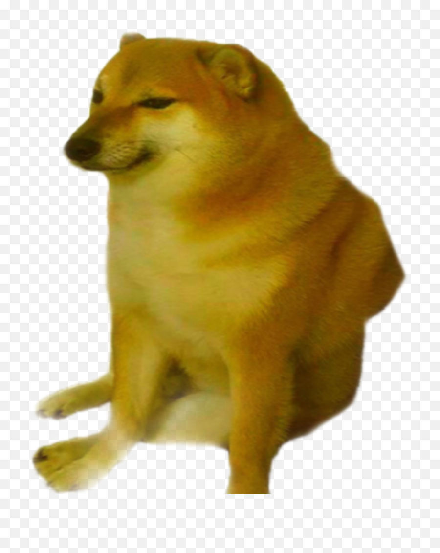 Doge Png Freetoedit Rosberth Sticker - Cheems No Background,Doge Png
