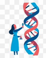 Science Euclidean Vector Biology Dna - Dna Clipart Png,Biology Png