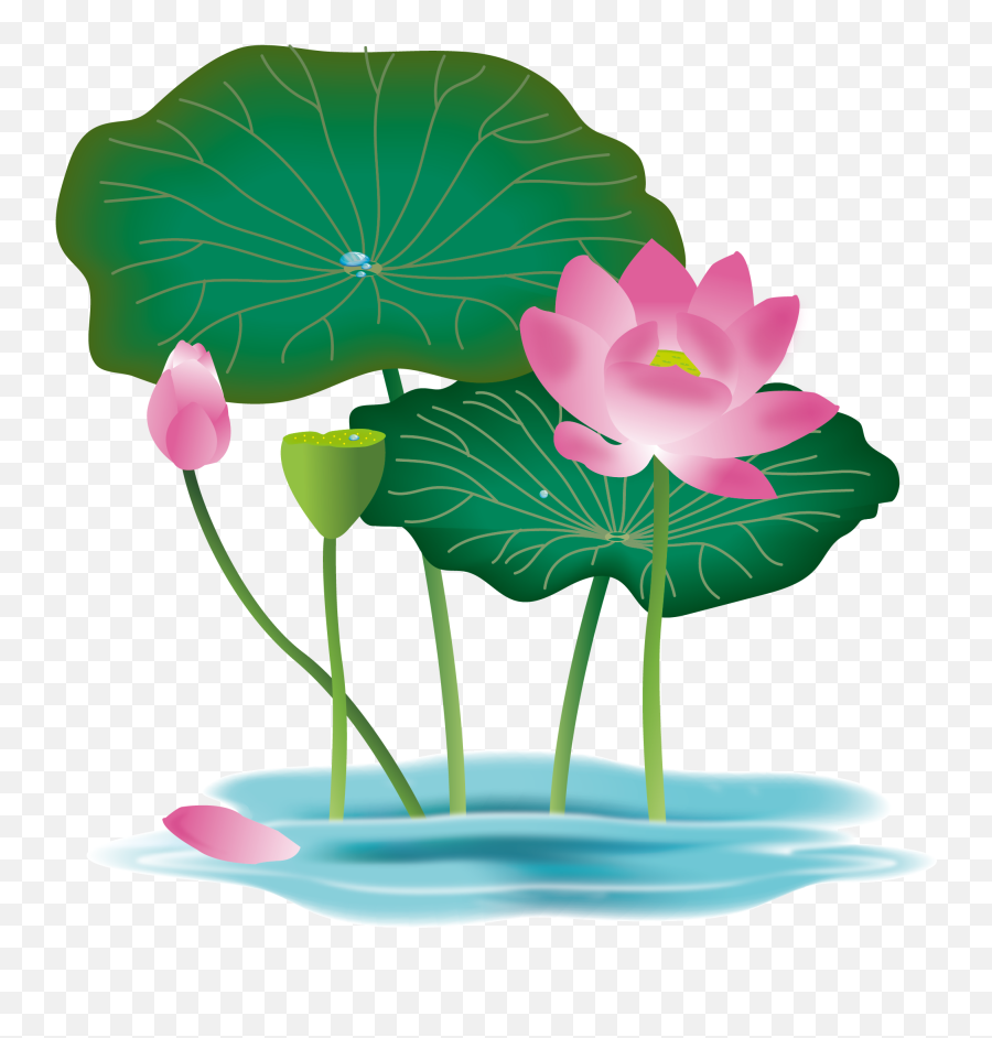 Leaf Png Transparent - Clipart Lotus Flower,Lotus Transparent