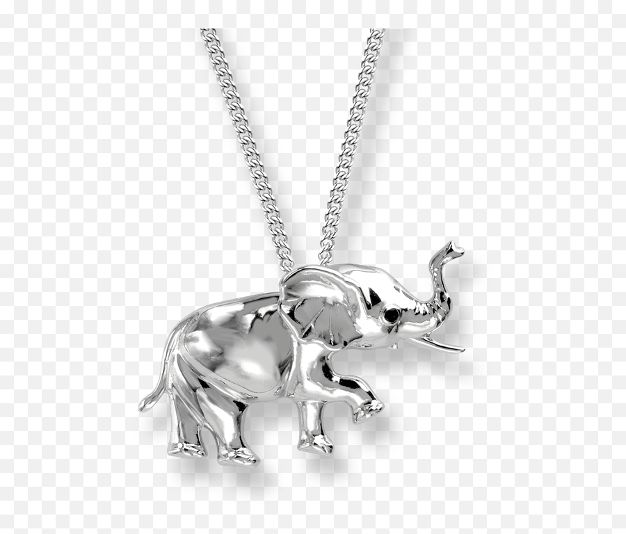 Nicole Barr Designs Sterling Silver Elephant Necklace - Locket Png,Elephant Transparent Background