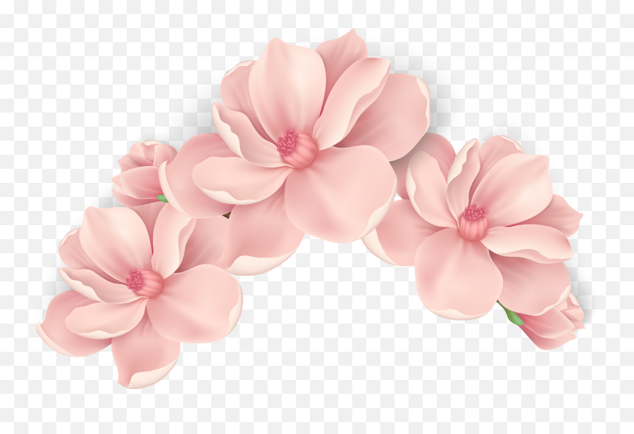 Pink Painted Flowers Vector Hand Png - Peach Flower Vector Png,Painted Flowers Png