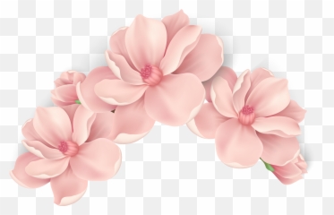 Pink Painted Flowers Vector Hand Png - Peach Flower Vector Png,Painted Flowers Png