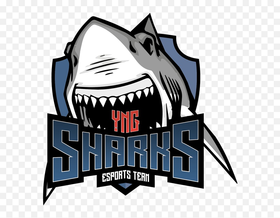 Sharks - Sharks Cs Go Png,Shark Teeth Png