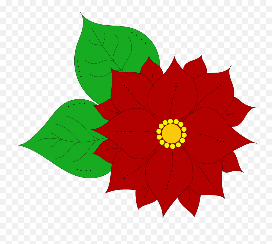 Poinsettia Flower Illustration Free - Lovely Png,Poinsettia Transparent Background