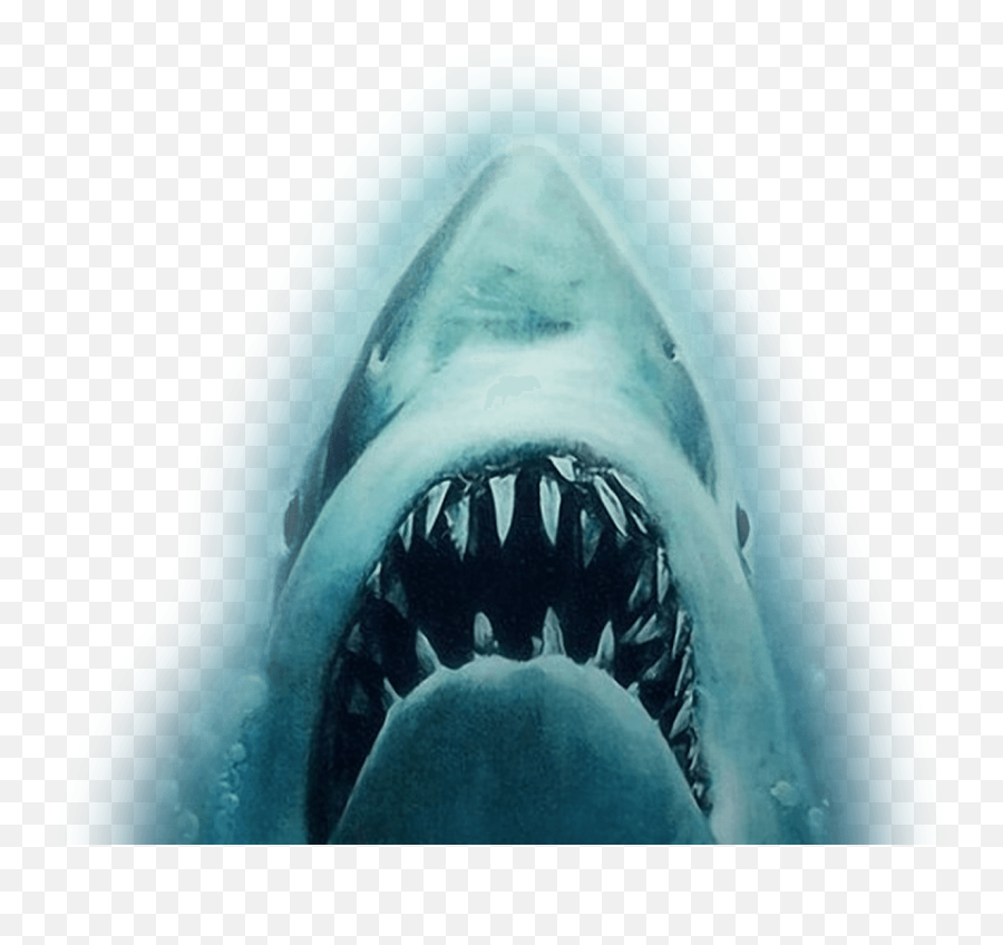 Download Shark Attack Png - Michael Jackson The Transparent Jaws Shark Png,Shark Icon