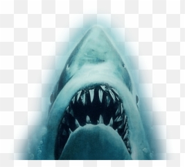 Download Shark Attack Png - Michael Jackson The Transparent Jaws
