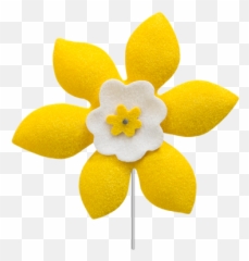 Daffodil Month Takes Stand Against - Canadian Cancer Society Daffodil Pin Png,Daffodil Icon