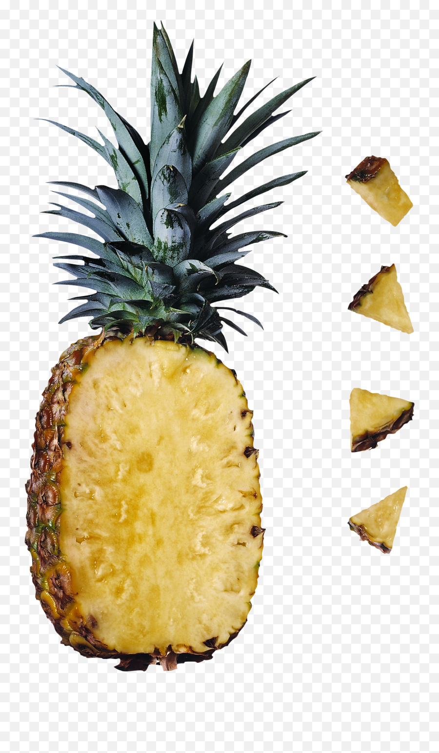 Pineapple Png Image Free Download - Png,Pineapple Transparent