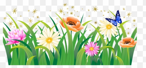 Free transparent flower garden png images, page 1 