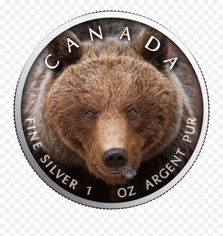 Canadau0027s Wildlife - Grizzly Bear 3 1 Oz Silver Bu Silver Coin Png,Bear Head Png