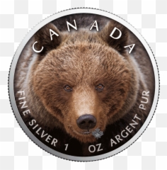 Canadau0027s Wildlife - Grizzly Bear 3 1 Oz Silver Bu Silver Coin Png,Bear Head Png