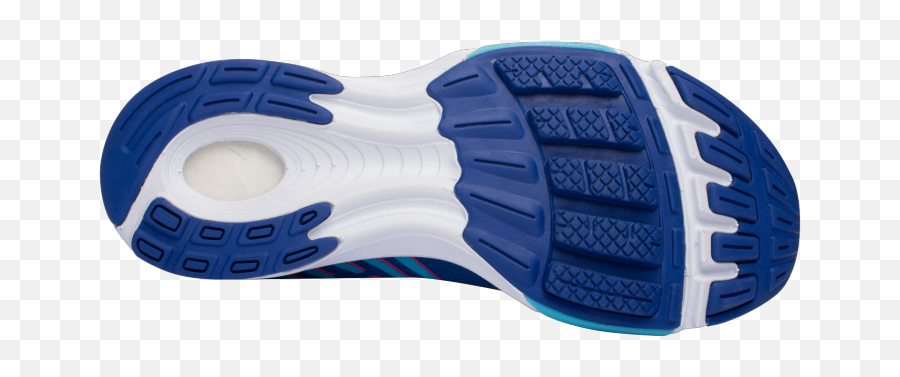 Womenu0027s Fate 7 U2013 Newton Running Company - Newton Blue Running Shoes Png,Running Shoes Icon