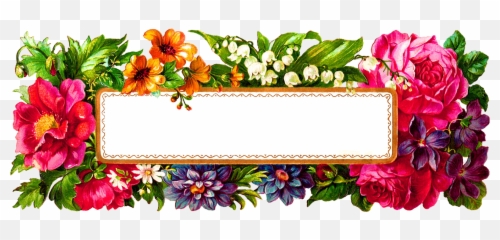 Digital Flower Label Blank Wildflower - Rectangle Frame Png