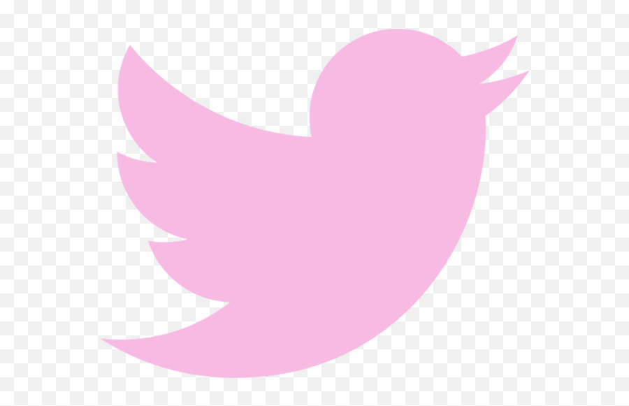 Contact Png Twitter Icon Pink