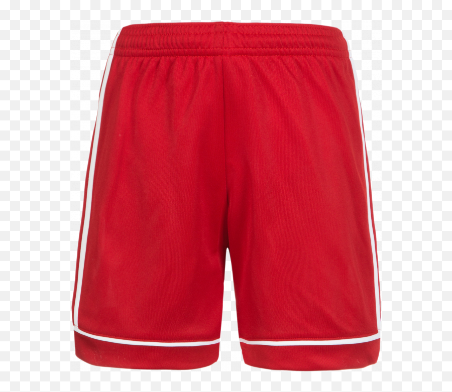 Squadra Shortsfabyanlawcom Png Adidas M10 Icon Shorts