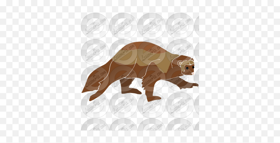 Wolverine Stencil For Classroom Therapy Use - Great Grizzly Bear Png,Wolverine Png